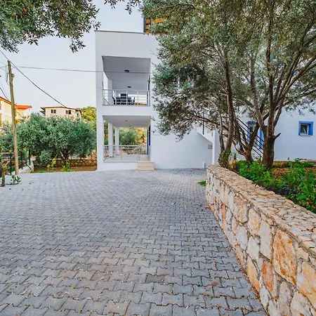 Papatya Daire