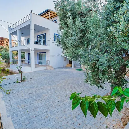 Papatya Daire Kaş